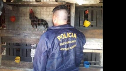 Había varia denuncias contra el predio allanado.