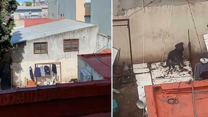 El perro aún se encuentra atado en el fondo del comercio.