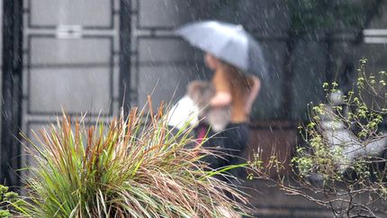 nuevo cambio en el clima: hasta cuando seguiran las lluvias en lomas y la region