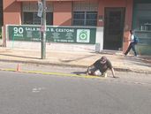 La dársena de estacionamiento ya está en funcionamiento en la Sala Cestoni.