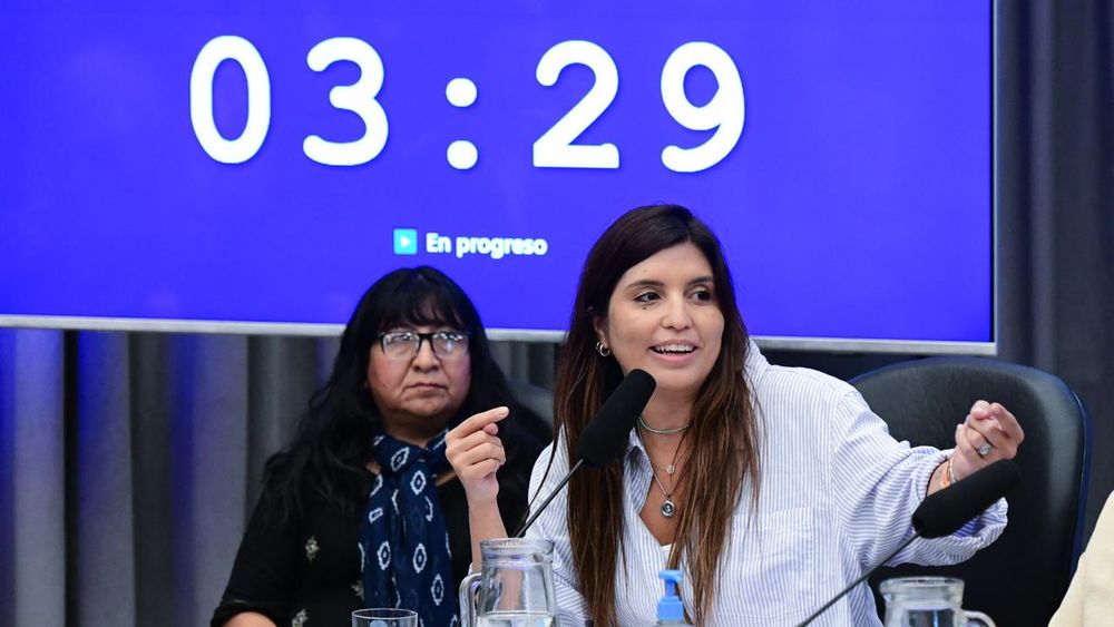 Daniela Vilar alertó sobre la modificación de la Ley de Glaciares: El daño será irreversible.
