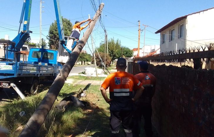 El auto chocó contra un poste y lo derribó.
