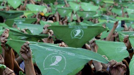 Una diputada de La Libertad Avanza presentó un proyecto para derogar el aborto legal.