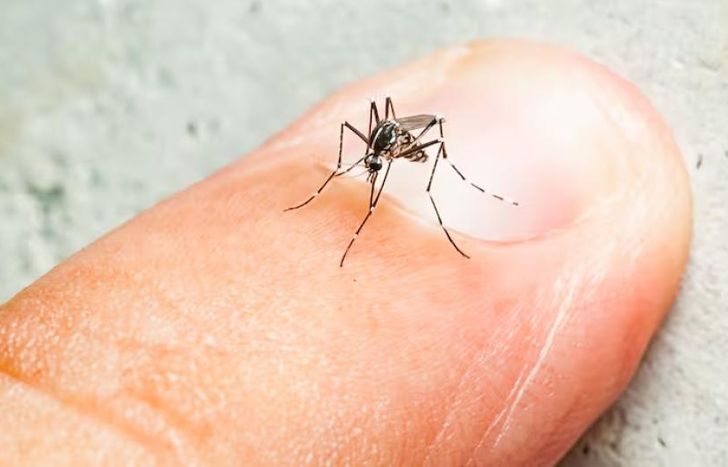 Se desaceleran los casos de dengue en la Argentina.