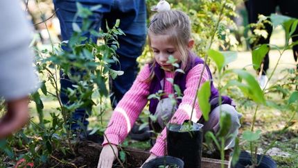 Este sábado arrancan las jornadas gratuitas para compartir en familia.