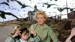 La pelicula Los pájaros será una serie.&nbsp;
