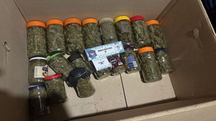 Diario La Unión | Frascos de marihuana incautadas.
