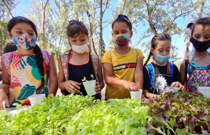 Los más chicos también aprenden a cultivar.