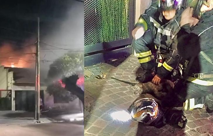 El incendio y el momento del rescate del perrito.