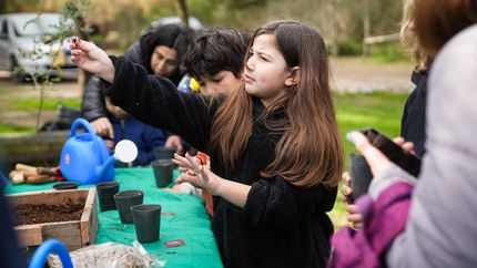 Este lunes arrancan las actividades ambientales gratuitas.
