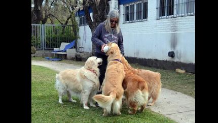 el uso de mascotas en terapias se remonta a 1792, en inglaterra.