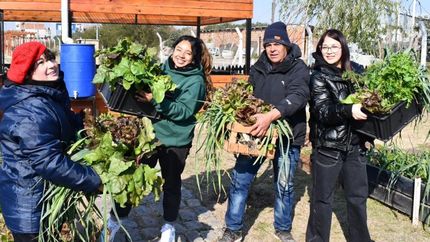 Hicieron cosechas solidarias en los parques Maradona (Fiorito) y Llavallol.
