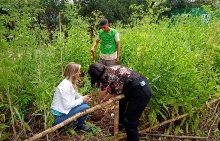 En la primera etapa plantaron 30 árboles.