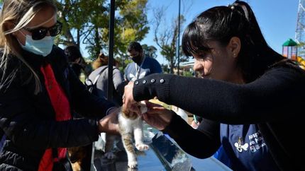 Zoonosis sigue llegando a los distintos barrios.