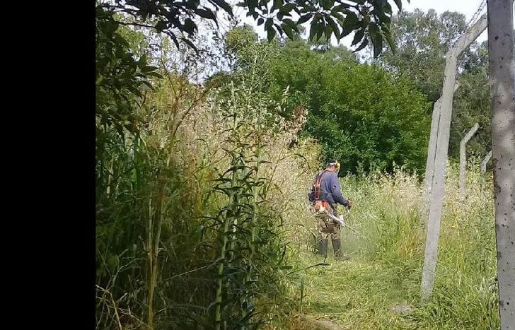 en conjunto con la empresa edesur, se desplegó un operativo de despeje de ramas.