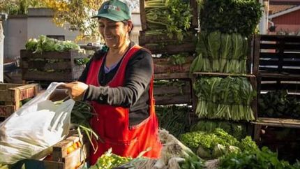Los vecinos podrán disfrutar de artesanías y verduras naturales.