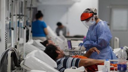 Se confirmaron 382 nuevas muertes.