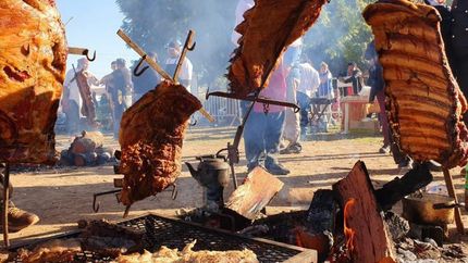 El desafío busca generar material para las amantes del fuego.