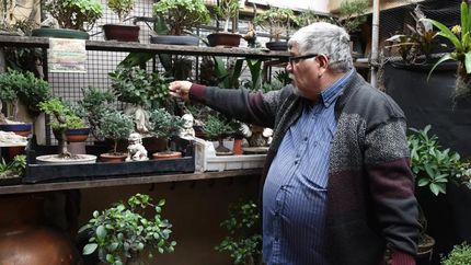 A pesar de los obstáculos de la vida, Héctor continúa ligado al cultivo de bonsáis, su cable a tierra.