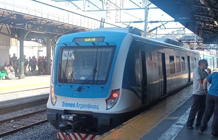 El accidente ocurrió dentro de la estación de Lomas de Zamora.