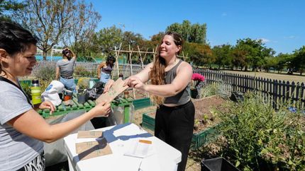 Repartieron los kits gratuitos de la temporada primavera-verano. Repartieron los kits gratuitos de la temporada primavera-verano.