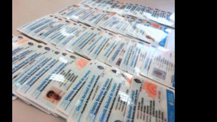 en 2018 se emitieron 269 licencias más que en 2017 y 3.200 más que en 2016.