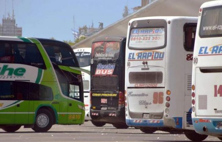 Los micros semicama podrán trasladar hasta 37 pasajeros.