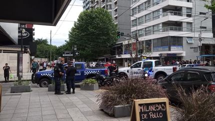 La Policía de Lomas se llevó detenido al delincuente.