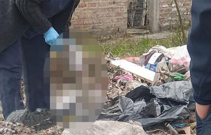 Este jueves fue el primer hallazgo.