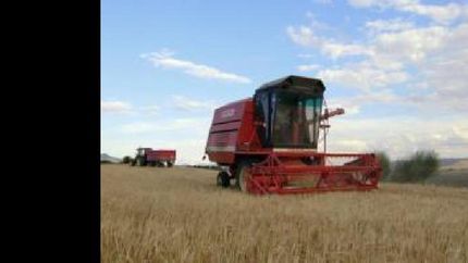 campo