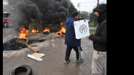 cresta roja: los empleados protestan en defensa de la fuente de trabajo