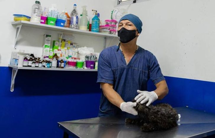 El Hospital de Mascotas tiene diferentes servicios gratuitos.