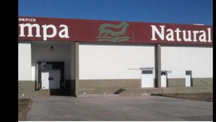 saquearon el lugar unas 50 personas.