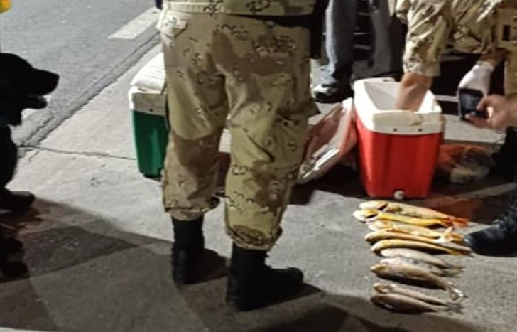 El hombre llevaba 44 piezas de pescado.