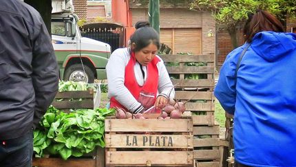 Los vecinos podrán aprovechar a comprar verduras sin agrotóxicos.
