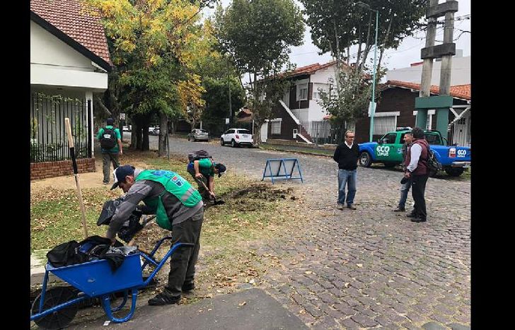también hubo pintura de cordones, rampas y paradas de colectivos.