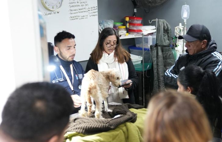 Las castraciones son claves para evitar enfermedades.