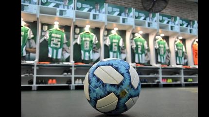 La pelota sigue quieta pero los clubes tienen entrenadores asegurados. La pelota sigue quieta pero los clubes tienen entrenadores asegurados.