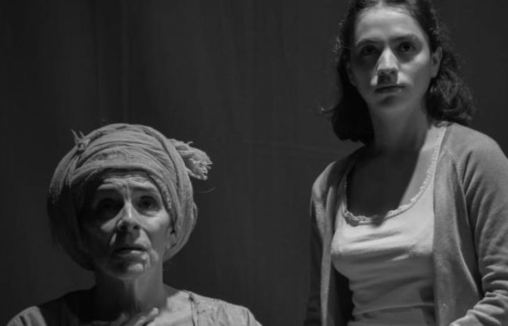 El rol de las mujeres durante la Guerra de Malvinas, la trama de la obra.