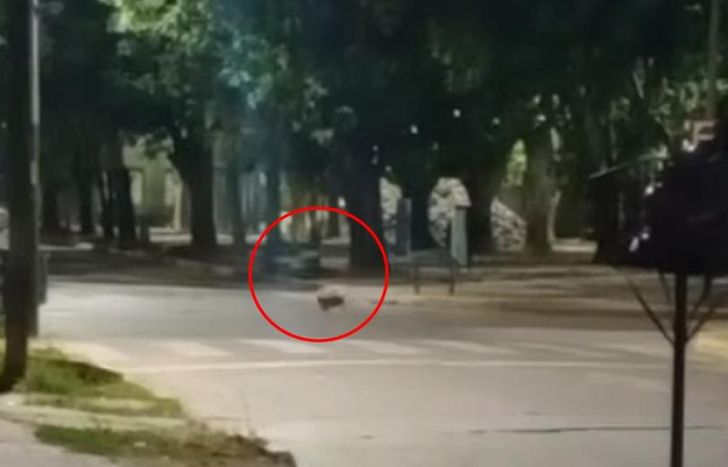 El ataque quedó filmado.