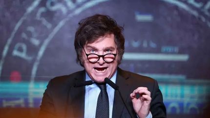 Javier Milei busca reemplazar glaciares por mineras: qué efectos podría tener en el ambiente.