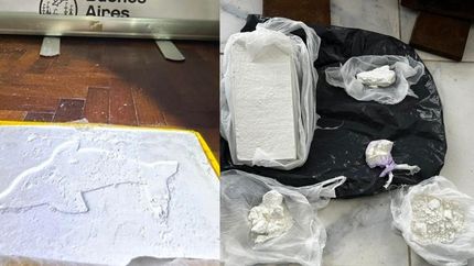 La cocaína tenía el sello del delfín.