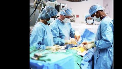 crecen casi un 12% los trasplantes de organos