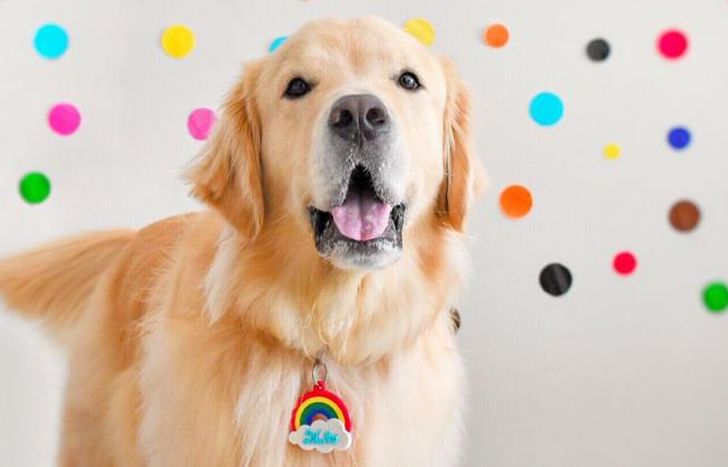 Se convirtió en la motivación para trabajar en clase.