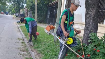 El corte de césped es prioridad con la llegada del calor.