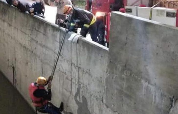 Los Bomberos de Lomas realizaron el operativo de rescate.