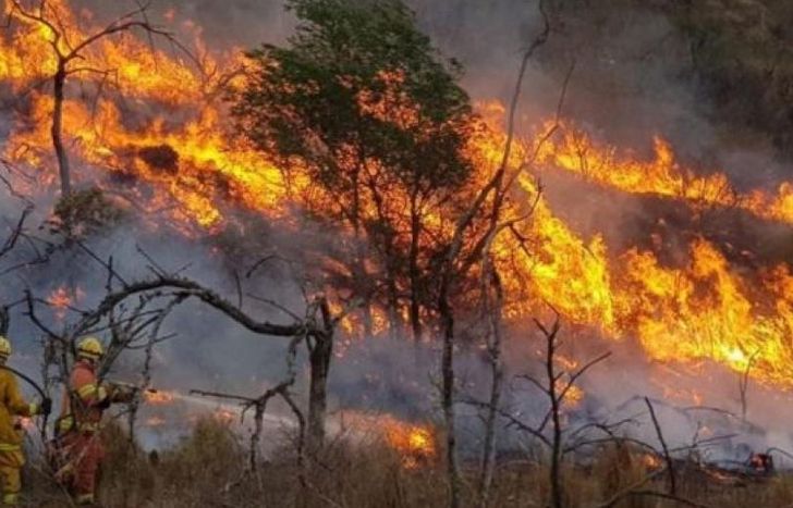 Este viernes en la previa del partido estarán juntando donaciones.