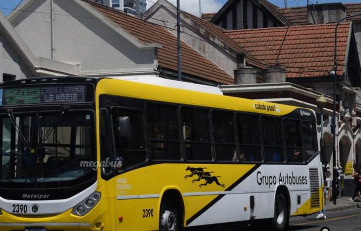Reordenan las paradas de colectivos.