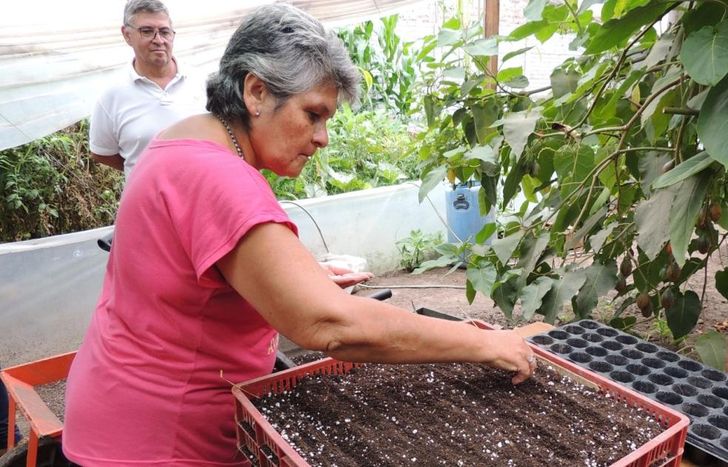 El curso es totalmente gratuito.