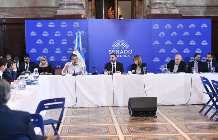 La reforma laboral tuvo media sanción en el Senado y ahora pasa a Diputados.